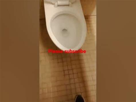 aDDnTN 1 yr. . Accidentally flushed vape down toilet